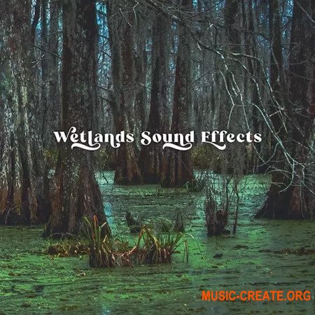 Close to Nature Music Ensemble Wetlands Sound Effects