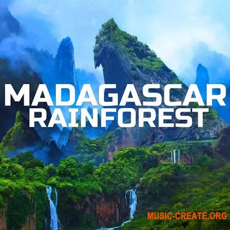 Madagascar Soundscapes Madagascar Rainforest