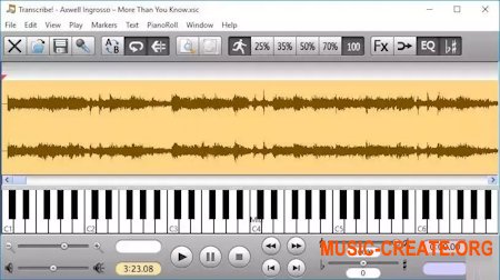Transcribe! 9