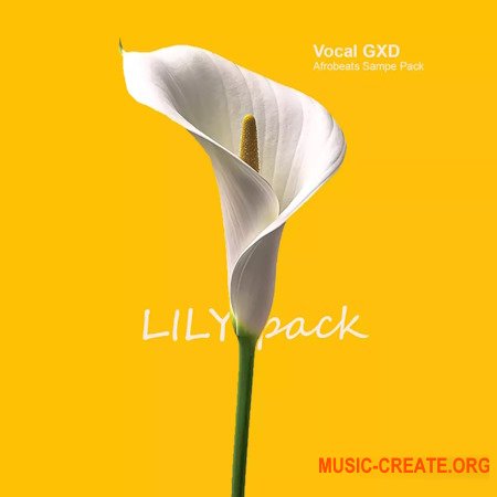 VOCAL GXD Lily Afrobeats Sample Pack