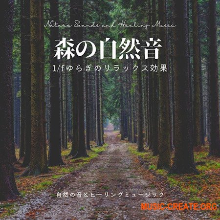 Nature Sounds and Healing Music Forest Nature Sound Relaxation Effect Fluctuation