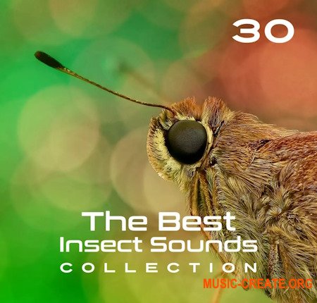 Close To Nature Music Ensemble 30 The Best Insect Sounds Collection Fly with Creature, Sound Effects, Magic Library