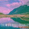 Rest and Relax Nature Sounds Calm Forest Sounds (FLAC) Rest and Relax Nature Sounds Calm Forest Sounds (FLAC)