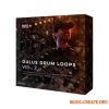 Basic Wavez Dulus Drum Loops Vol.2 (WAV) Basic Wavez Dulus Drum Loops Vol.2 (WAV)
