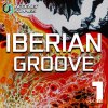 Incognet Samples Iberian Groove (WAV MIDI Serum presets)