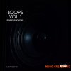 Vinicius Honorio Loops Vol.01 (WAV)