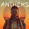 Retrohandz Afro House Anthems (WAV MiDi Serum 2 presets)