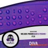 Vandalism Shocking Melodic Progressive & Techno For Diva (Diva presets) Vandalism Shocking Melodic Progressive & Techno For Diva (Diva presets)
