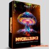 Freak Audio Mycellium Vol.2 Dark & Forest (Serum 2 Presets) Freak Audio Mycellium Vol.2 Dark & Forest (Serum 2 Presets)