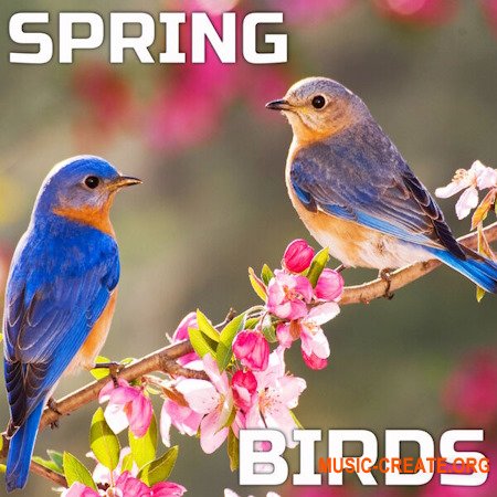 Cloud Nine Records Spring Birds (FLAC) Cloud Nine Records Spring Birds (FLAC)