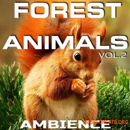 Animals Nature Sounds Forest Animals Ambience Vol.2