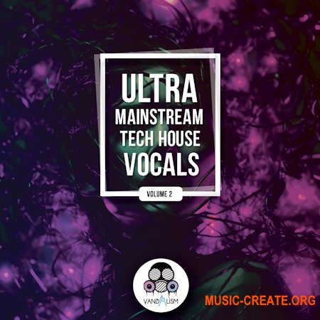 Vandalism Ultra Mainstream Tech House Vocals 2