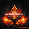 Rasster Samples Vocal Melodic Techno Vol 3 (WAV MIDI Serum 2 presets)