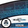 Vandalism Shocking Melodic Techno For Serum (Serum presets MIDI) Vandalism Shocking Melodic Techno For Serum (Serum presets MIDI)