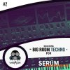 Vandalism Shocking Big Room Techno 2 For Serum (Serum presets) Vandalism Shocking Big Room Techno 2 For Serum (Serum presets)