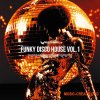 Rasster Samples Funky Disco House Vol 1 (WAV MIDI Serum 2 Presets)