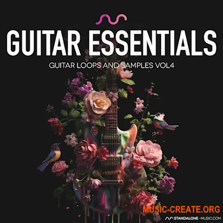 Standalone-Music Guitar Essentials Vol 4 (WAV)
