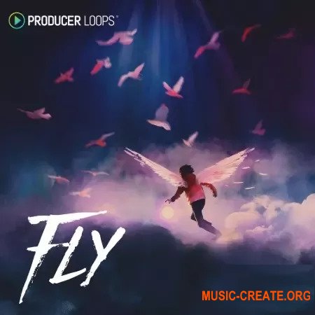 Producer Loops Fly
