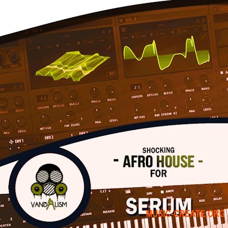 Vandalism Shocking Afro House For Serum