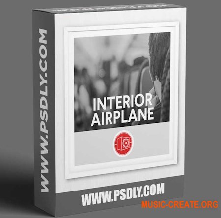 Big Room Sound Interior Airplane (WAV)