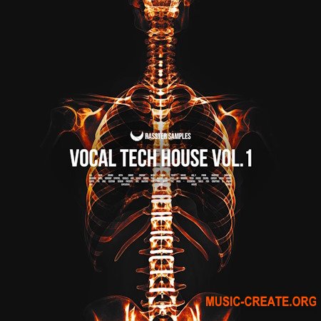 Producer Loops Vocal Tech House