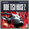 Singomakers Indie Tech House 2 (WAV MIDI) Singomakers Indie Tech House 2 (WAV MIDI)