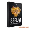 Sam Smyers Serum Afro House Collection Vol.1 (Serum 2 Presets MIDI) Sam Smyers Serum Afro House Collection Vol.1 (Serum 2 Presets MIDI)