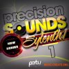 Party Design Precision Sounds vol 1 (Sylenth1 Presets) Party Design Precision Sounds vol 1 (Sylenth1 Presets)