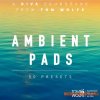 Tom Wolfe Ambient Pads (U-he Diva Presets) Tom Wolfe Ambient Pads (U-he Diva Presets)
