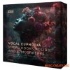 Basic Wavez Vocal Euphoria (WAV)