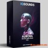 IQSounds AURORA Vol.I Melodic Deep House (WAV MiDi Serum 2 presets) IQSounds AURORA Vol.I Melodic Deep House (WAV MiDi Serum 2 presets)