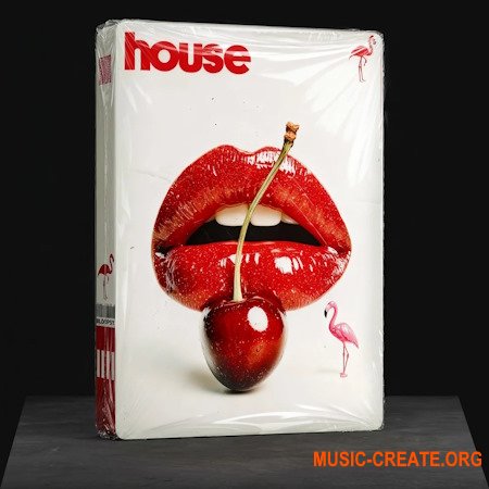 Loopsy HOUSE Vol. 4 for Serum 2