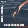 Rozbeatz Sorrow - R&B soul (Analog Lab Preset Bank)