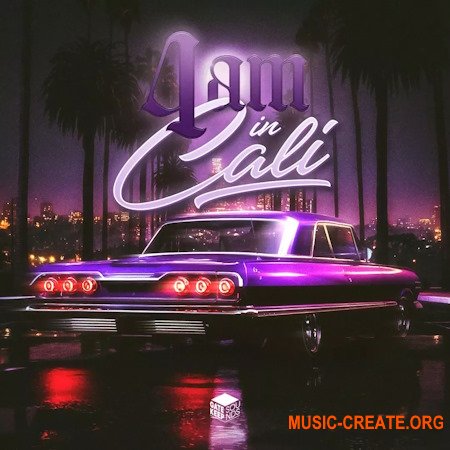 Gatekeep Sounds IIInfinite 4am In Cali Analog Lab Bank
