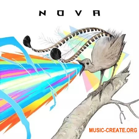 Mattia Cellotto Nova