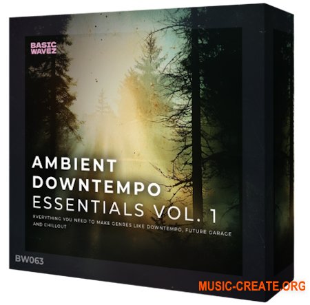 Basic Wavez Ambient Downtempo