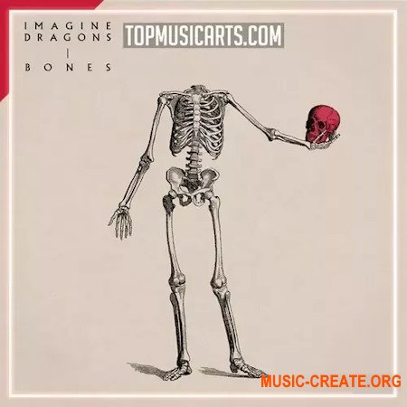 Top Music Arts Imagine Dragons Bones Ableton Remake (Pop) Ableton Project Files
