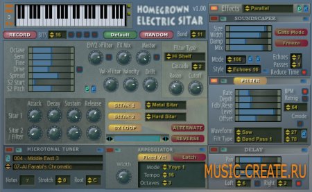 HG Electric Sitar VSTi от Homegrown Sounds - электрический ситар