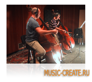 Session Strings от Native Instruments (NI) - бас модуль-2 Session Strings от Native Instruments (NI) - бас модуль-2